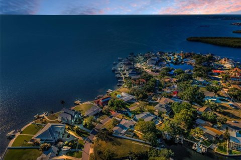 Land in Palm Harbor, Florida № 1719815 - photo 1