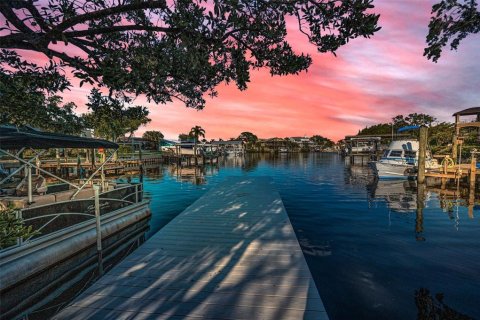Land in Palm Harbor, Florida № 1719815 - photo 2