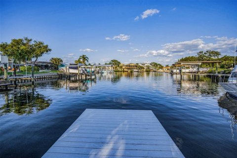 Land in Palm Harbor, Florida № 1719815 - photo 23