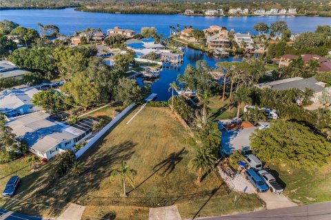 Land in Palm Harbor, Florida № 1719815 - photo 3