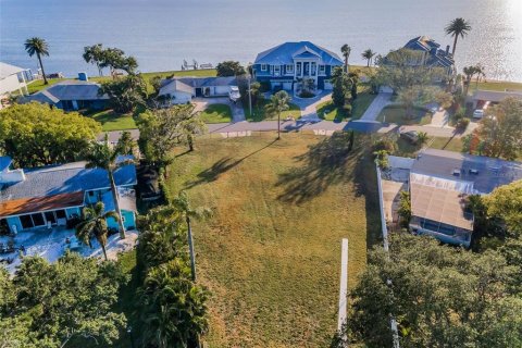Land in Palm Harbor, Florida № 1719815 - photo 16