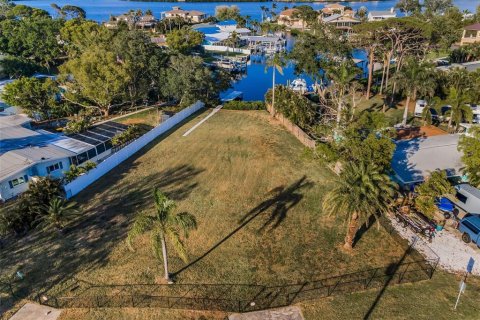 Land in Palm Harbor, Florida № 1719815 - photo 5
