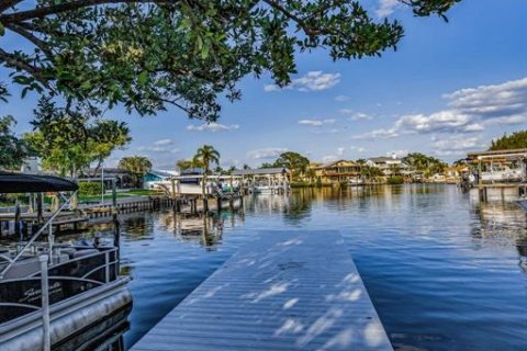 Land in Palm Harbor, Florida № 1719815 - photo 22