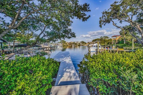 Land in Palm Harbor, Florida № 1719815 - photo 21