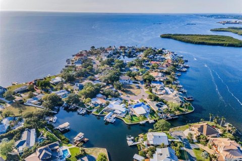 Land in Palm Harbor, Florida № 1719815 - photo 6