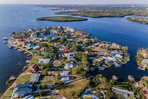 Land in Palm Harbor, Florida № 1719815 - photo 18