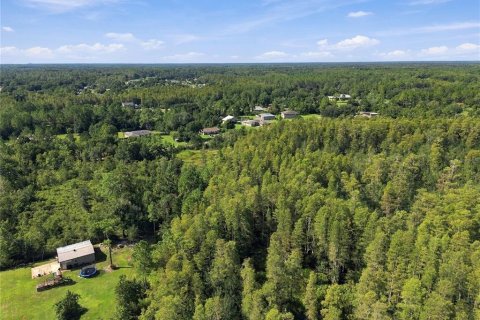 Land in Wesley Chapel, Florida № 2379483 - photo 17
