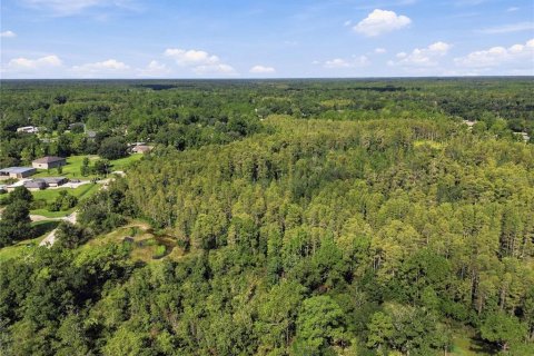 Land in Wesley Chapel, Florida № 2379483 - photo 20