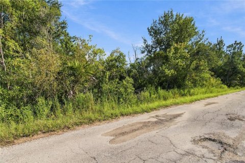 Land in Wesley Chapel, Florida № 2379483 - photo 13