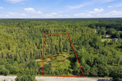 Land in Wesley Chapel, Florida № 2379483