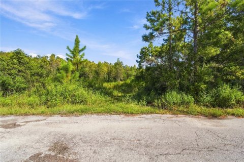 Land in Wesley Chapel, Florida № 2379483 - photo 15