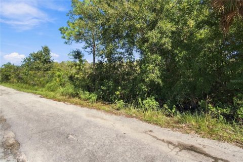 Land in Wesley Chapel, Florida № 2379483 - photo 8