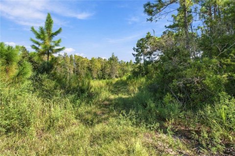 Land in Wesley Chapel, Florida № 2379483 - photo 9