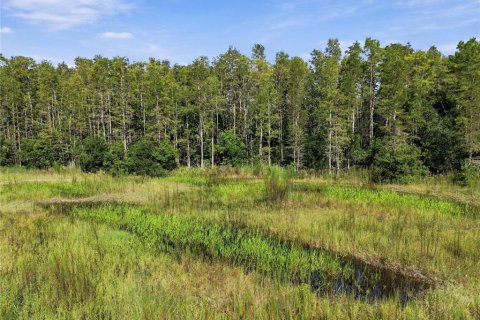 Land in Wesley Chapel, Florida № 2379483 - photo 27