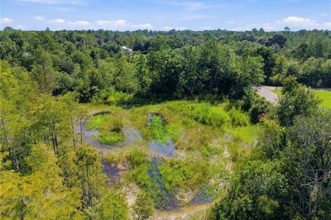 Land in Wesley Chapel, Florida № 2379483 - photo 26