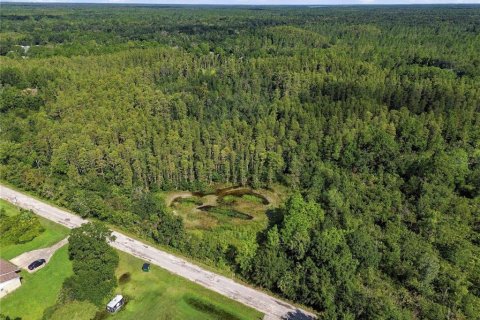 Land in Wesley Chapel, Florida № 2379483 - photo 21