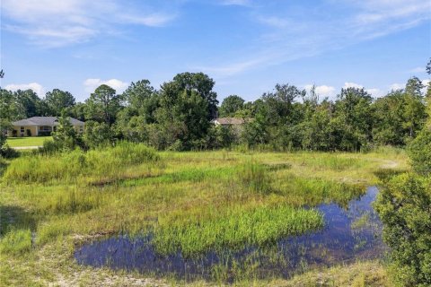 Land in Wesley Chapel, Florida № 2379483 - photo 29