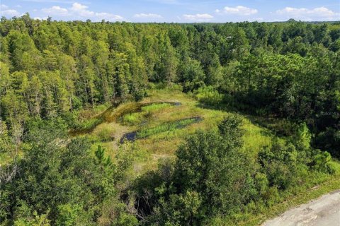 Land in Wesley Chapel, Florida № 2379483 - photo 5