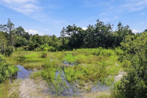 Land in Wesley Chapel, Florida № 2379483 - photo 30