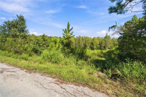 Land in Wesley Chapel, Florida № 2379483 - photo 14