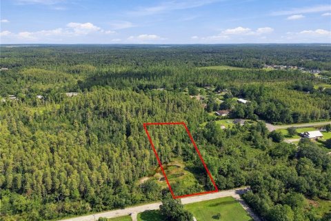 Land in Wesley Chapel, Florida № 2379483 - photo 2