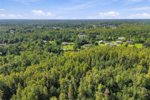 Land in Wesley Chapel, Florida № 2379483 - photo 16