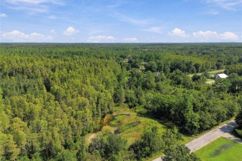 Land in Wesley Chapel, Florida № 2379483 - photo 4