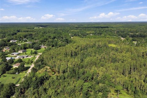 Land in Wesley Chapel, Florida № 2379483 - photo 19