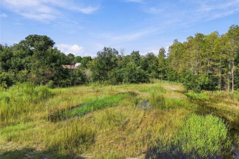 Land in Wesley Chapel, Florida № 2379483 - photo 28