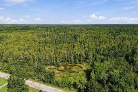 Land in Wesley Chapel, Florida № 2379483 - photo 3