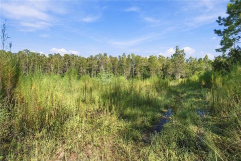 Land in Wesley Chapel, Florida № 2379483 - photo 11