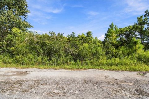 Land in Wesley Chapel, Florida № 2379483 - photo 12
