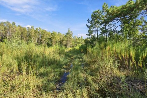 Land in Wesley Chapel, Florida № 2379483 - photo 10