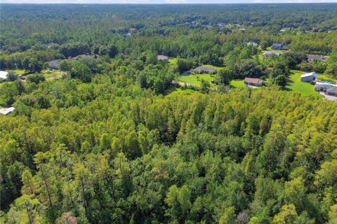 Land in Wesley Chapel, Florida № 2379483 - photo 22