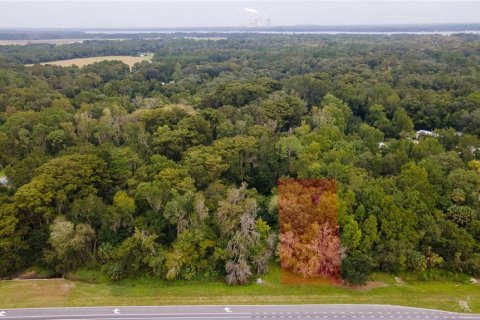 Terrain à vendre à East Palatka, Floride № 2201917 - photo 5