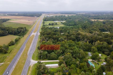 Terrain à vendre à East Palatka, Floride № 2201917 - photo 8