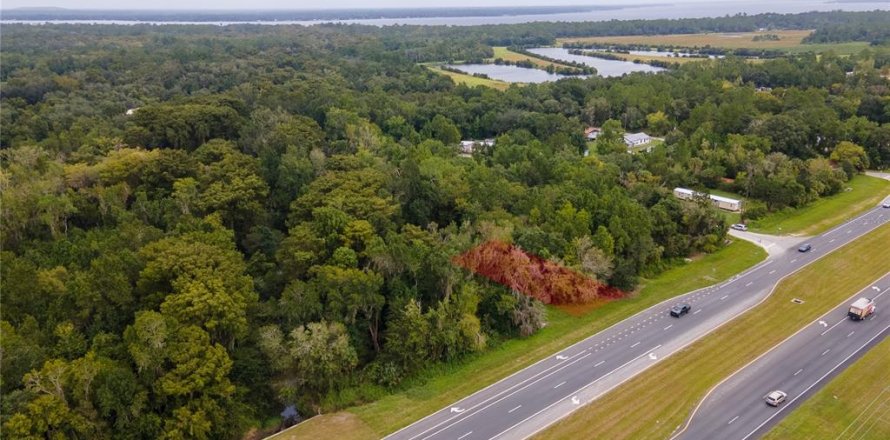 Terrain à East Palatka, Floride № 2201917