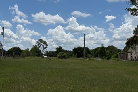Immobilier commercial à vendre à Valrico, Floride: 929.02 m2 № 2210910 - photo 2