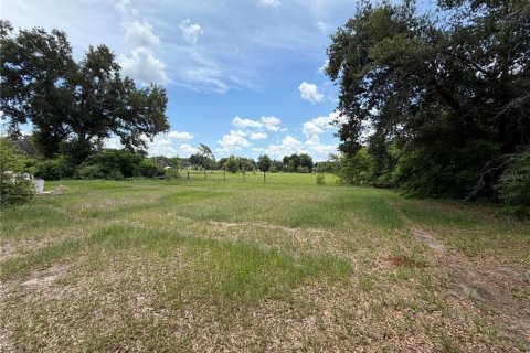 Immobilier commercial à vendre à Valrico, Floride: 929.02 m2 № 2210910 - photo 15