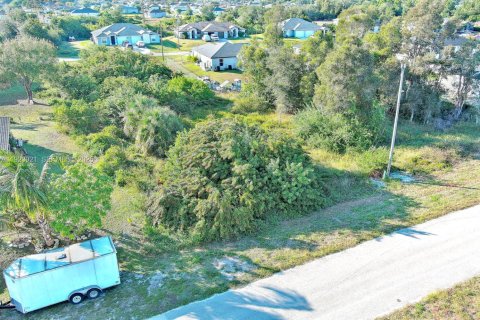 Land in Lehigh Acres, Florida № 2158588 - photo 3