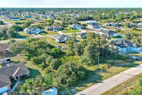 Land in Lehigh Acres, Florida № 2158588 - photo 9