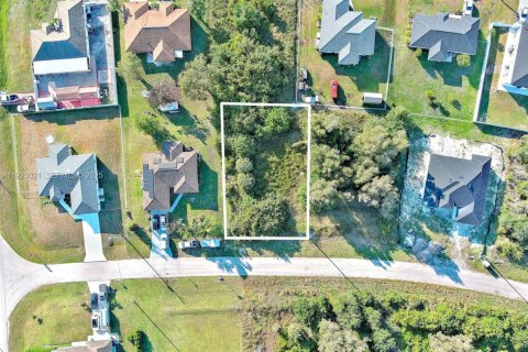 Land in Lehigh Acres, Florida № 2158588 - photo 2