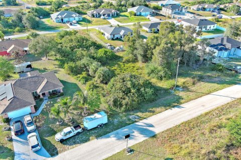 Land in Lehigh Acres, Florida № 2158588 - photo 10
