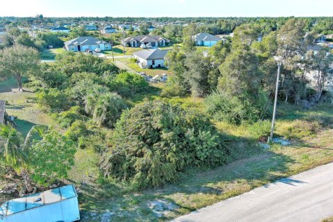 Land in Lehigh Acres, Florida № 2158588 - photo 4