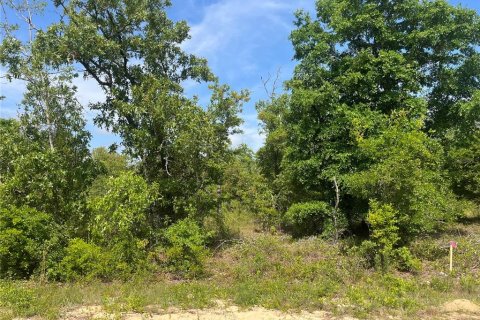 Land in Alford, Florida № 2211692