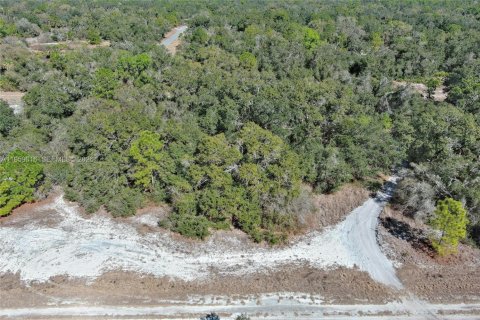 Terrain à vendre à North Port, Floride № 2158255 - photo 8