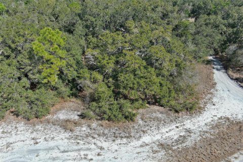 Terrain à vendre à North Port, Floride № 2158255 - photo 1