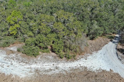 Terrain à vendre à North Port, Floride № 2158255 - photo 2