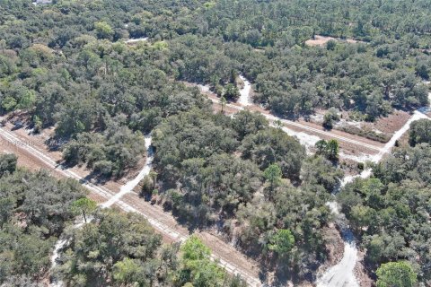 Terrain à vendre à North Port, Floride № 2158255 - photo 24
