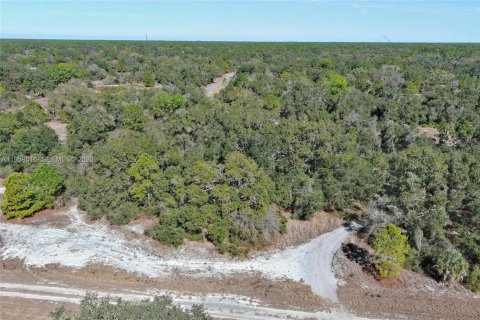 Terrain à vendre à North Port, Floride № 2158255 - photo 6